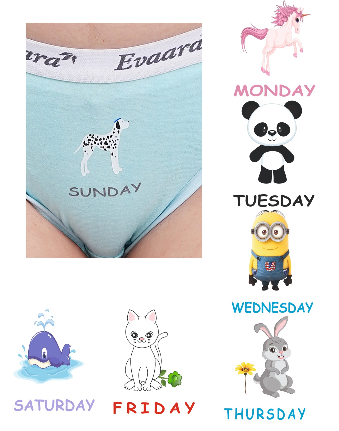 7 Pcs 100% Pure cotton washable all days stickers brief panty